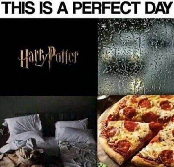 harry potter and pizza - This Is A Perfect Day 4arty Putter