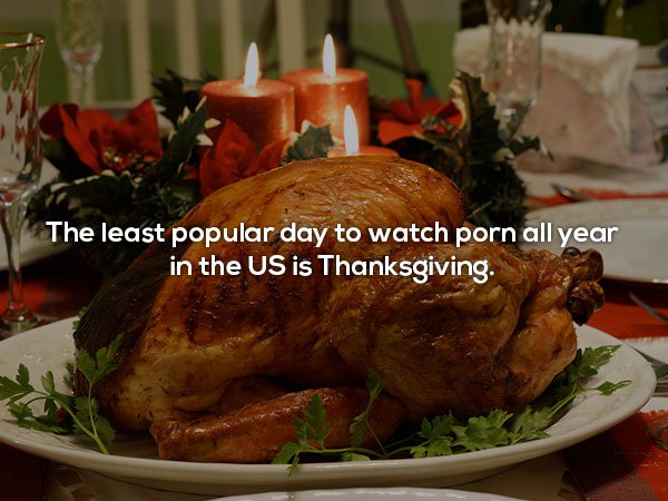 20 Crazy Porn Facts That May Surprise You 