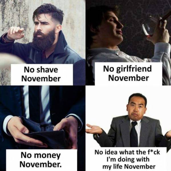 funny movember memes - No shave November No girlfriend November No money November. No idea what the fck I'm doing with my life November