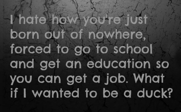 want to be a duck - I hate how you're just born out of nowhere, forced to go to school and get an education so you can get a job. What if I wanted to be a duck?