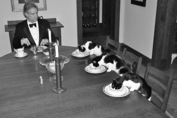 “When my wife leaves town, I get bored. Six days into her vacation I joked “I’m going to have a formal dinner with the cats.” Then I thought about it for awhile.”