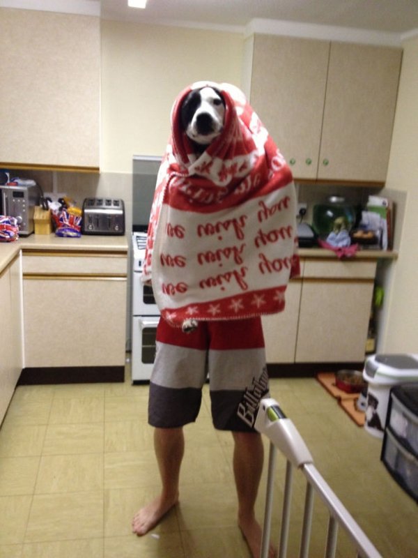 “Heard my husband telling the dog to stay still in the kitchen, walked in and this greeted me.”