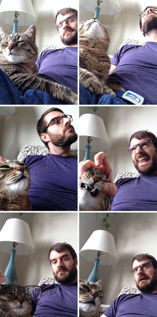 “My wife is stuck at work today, so me and the cat texted her some selfies.”
