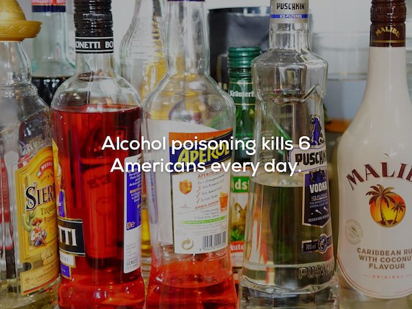 collection of alcohol - Puschkin Onetti Bo Alcohol poisoning kills 6 Americans every day Pusch Malia Vodka Stei Cs Has Caribbean Ru With Coconu Flavour