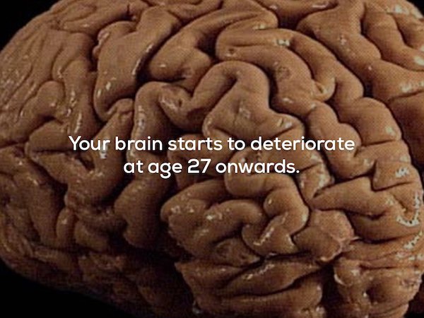 creepy brain - Your brain starts to deteriorate at age 27 onwards.