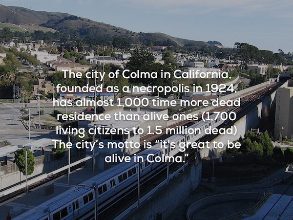 suburb - 880 L The city of Colma in California, founded as a necropolis in 1924, has almost 1,000 time more dead residence than alive ones 1,700 living citizens to 1.5 million dead The city's motto is "it's great to be alive in Colma.