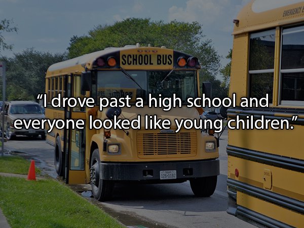 volkswagen school bus - School Bus "I drove past a high school and everyone looked young children." 1750115