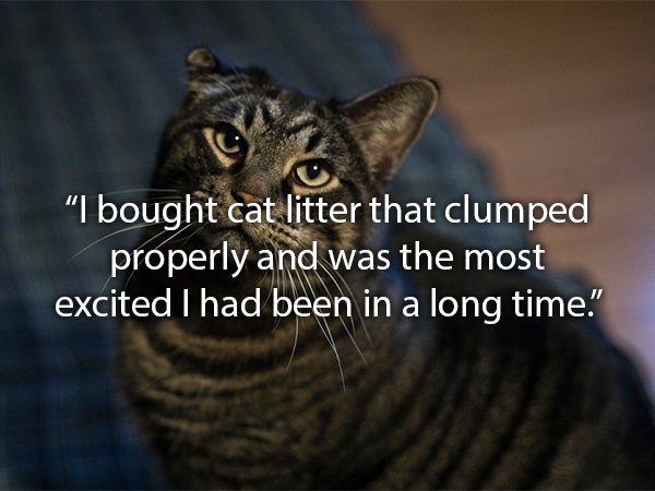 photo caption - I bought cat litter that clumped properly and was the most excited I had been in a long time."