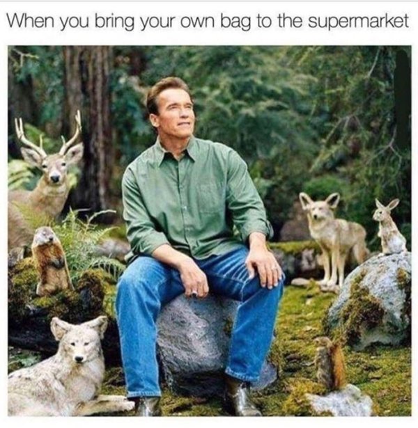 you bring your own bag - When you bring your own bag to the supermarket