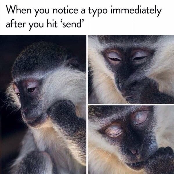 funny memes about life - When you notice a typo immediately after you hit 'send'