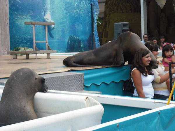 23 people/animals who are totally jealous