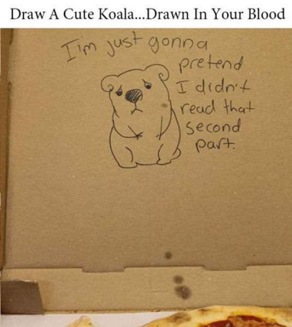 pizza special instructions funny - Draw A Cute Koala... Drawn In Your Blood Tim just gonna pretend I didn't I read that second A part