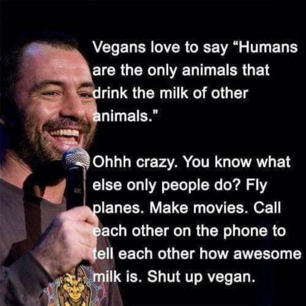 joe rogan on vegans - Vegans love to say "Humans are the only animals that drink the milk of other animals." Ohhh crazy. You know what else only people do? Fly planes. Make movies. Call each other on the phone to tell each other how awesome milk is. Shut 