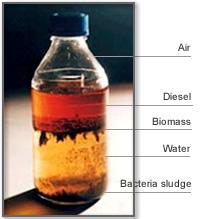 marine diesel fuel - Diesel Biomass Water Bacteria sludge