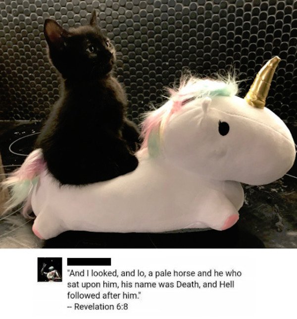 unicorn meme - Og Coco Aa Ccccc Occo Ddddd Dddddd Dddddd Icco Qccccc Cccc "And I looked, and lo, a pale horse and he who sat upon him, his name was Death, and Hell ed after him. Revelation