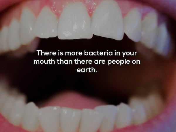 There is more bacteria in your mouth than there are people on earth.