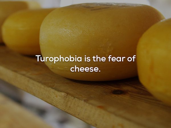 lemon - Turophobia is the fear of cheese.