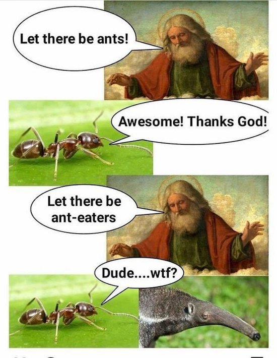 anteater god meme - et there be ants! Awesome! Thanks God! Let there be anteaters Dude....wtf?