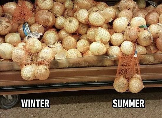 guys summer vs winter meme - Winter Summer