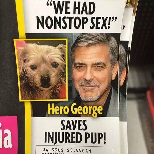 newspaper fail - "We Had Nonstop Sex!, Hero George Saves Injured Pup! $4.99US $5.99CAN