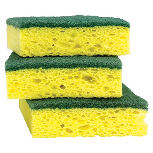 According to a recent Furtwangen study, your kitchen sponge is as clean as a turd.