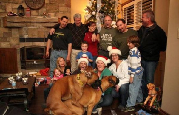 dysfunctional family christmas