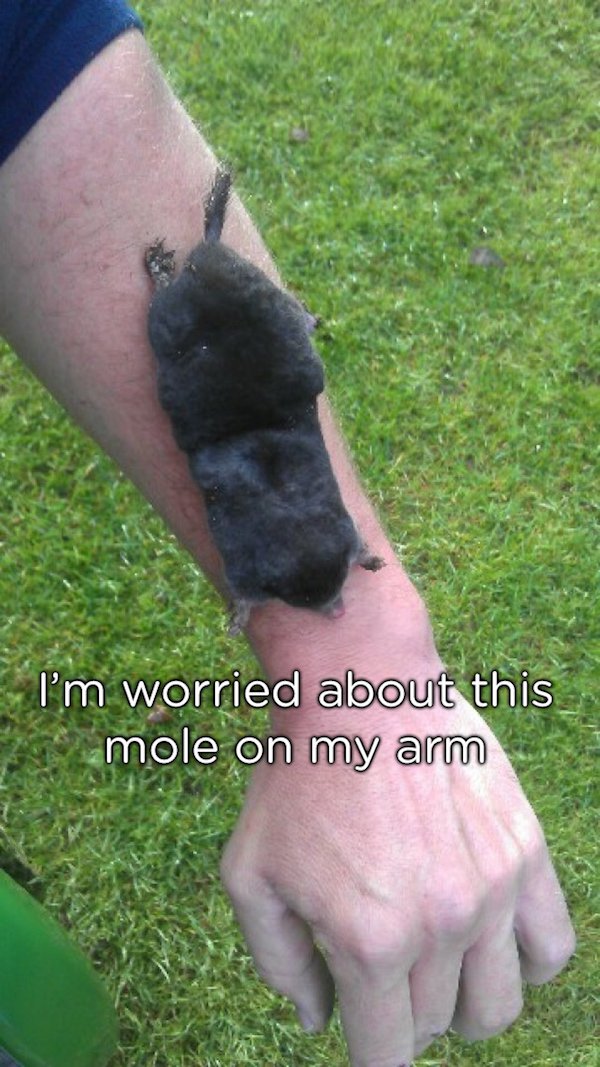 pun huge mole on arm - I'm worried about this mole on my arm
