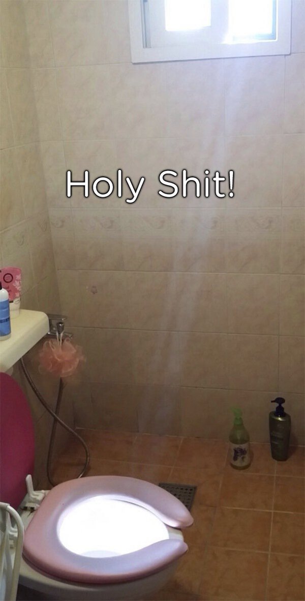 pun bathroom - Holy Shit!