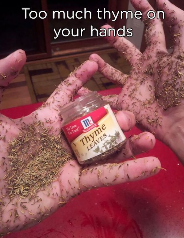 pun too much thyme on my hands - Too much thyme on your hands Up The Taste Ia Trat Thyme 0 Leaves