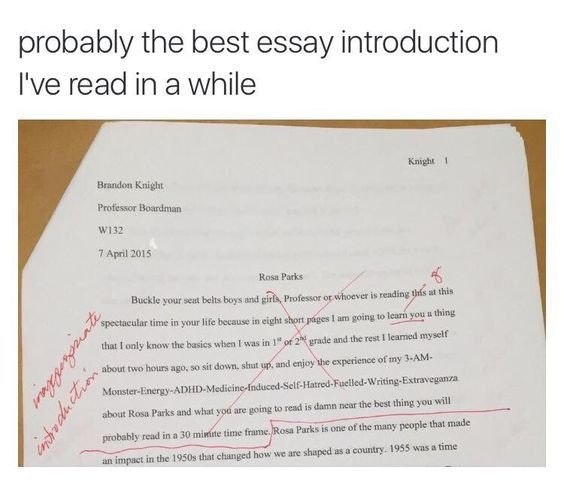 funny essay introductions - probably the best essay introduction I've read in a while Knight 1 Brandon Knight Professor Boardman W132 Rosa Parks Buckle your seat belts boys and girls, Professor or whoever is reading this at this spectacular time in your l