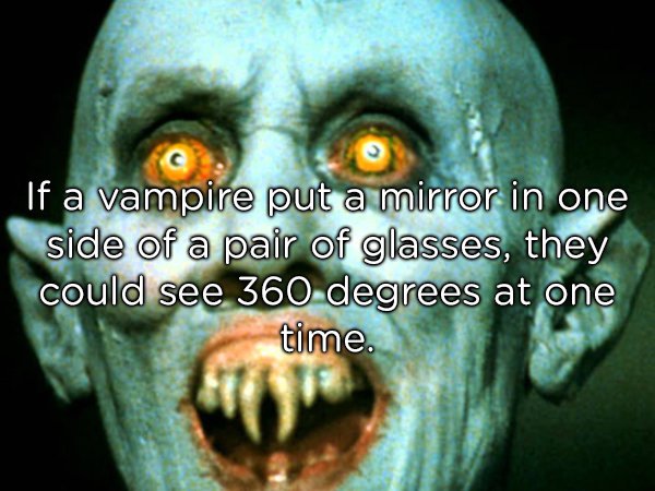 salem's lot - If a vampire put a mirror in one side of a pair of glasses, they could see 360 degrees at one time.