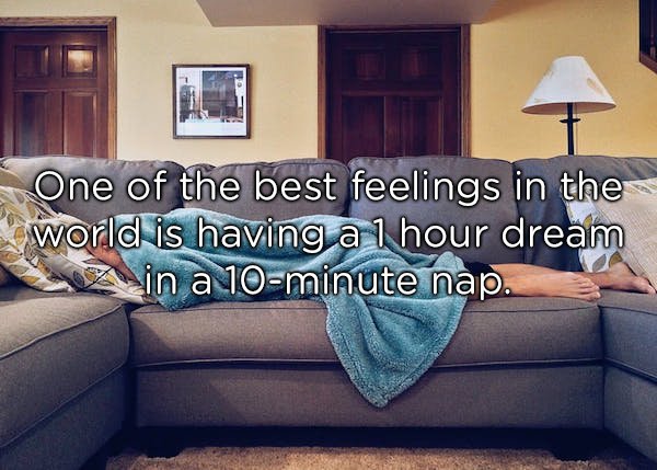 couch lock - One of the best feelings in the world is having a 1 hour dream A in a 10minute nap.