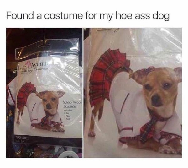 found a costume for my hoe ass dog - Found a costume for my hoe ass dog Avenu Ce School Puppy Costume DO005