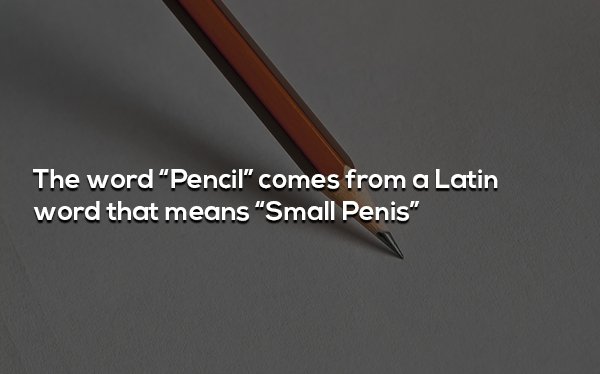 material - The word Pencil" comes from a Latin word that means "Small Penis"