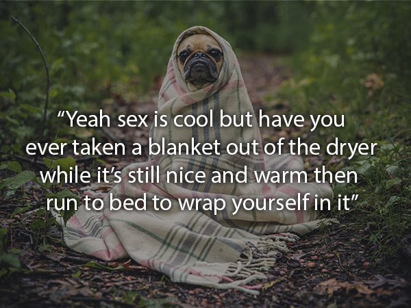 17 Things To Make You Re-Think Sex
