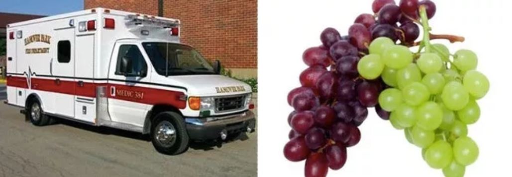 In Hawaii, paramedics actually responded to a 911 call of man who needed help with his grapes. According to EMS paramedic Tony Altomare, they responded in case something was wrong with the civilian, but instead ended up washing his grapes and putting them in a bowl for him.