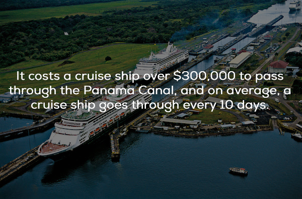 24 Seaworthy facts about sailing on a cruise ship