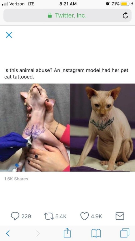 tattooed bald cat - il Verizon Lte 0 71% 34 Twitter, Inc. Is this animal abuse? An Instagram model had her pet cat tattooed. Q229 4.92