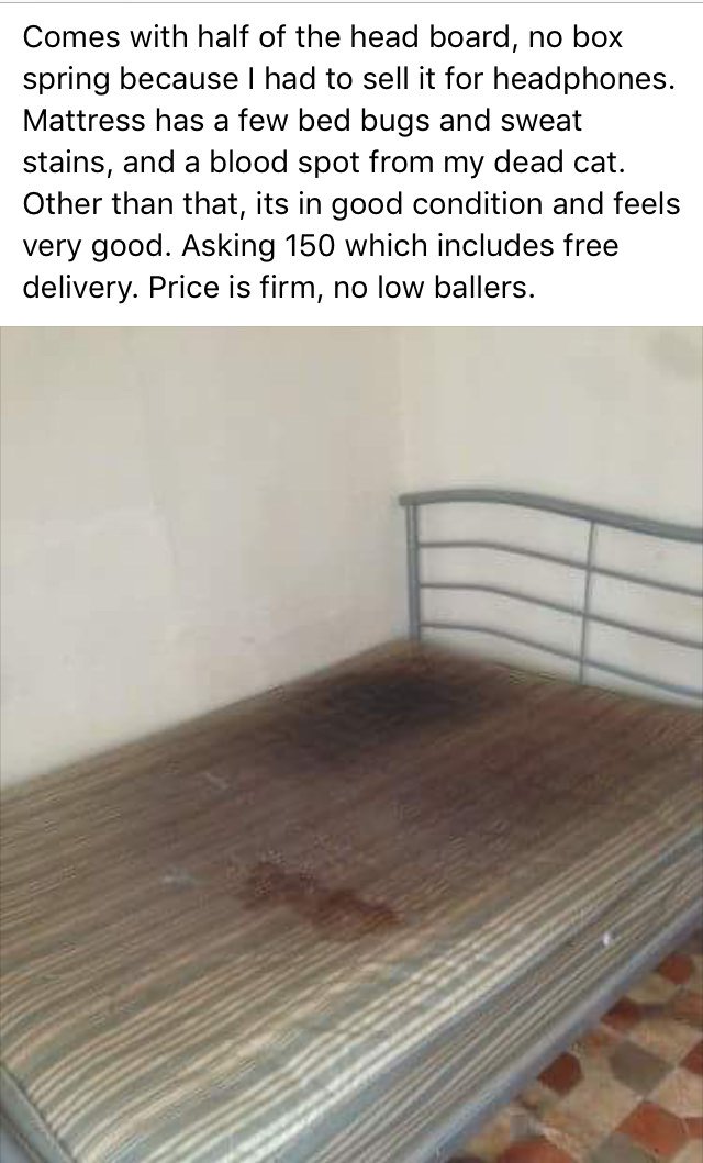 floor - Comes with half of the head board, no box spring because I had to sell it for headphones. Mattress has a few bed bugs and sweat stains, and a blood spot from my dead cat. Other than that, its in good condition and feels very good. Asking 150 which