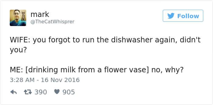 mark Wife you forgot to run the dishwasher again, didn't you? Me drinking milk from a flower vase no, why? 17 390 905