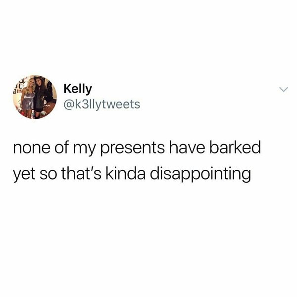 Kelly none of my presents have barked yet so that's kinda disappointing