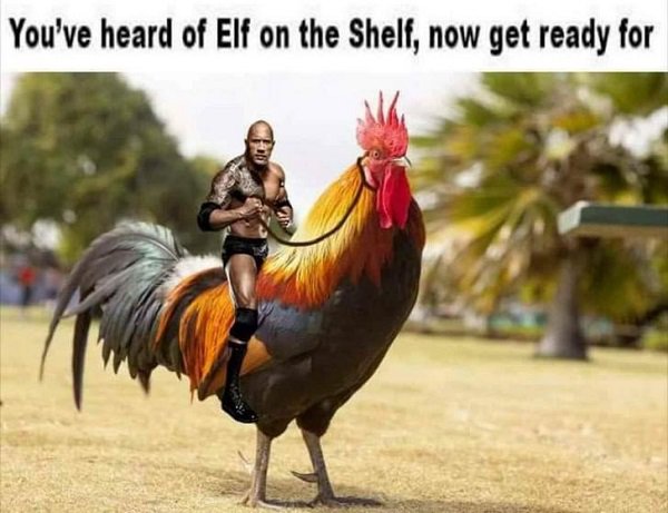 elf on the shelf meme - You've heard of Elf on the Shelf, now get ready for
