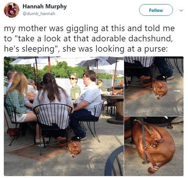Hannah Murphy my mother was giggling at this and told me to "take a look at that adorable dachshund, he's sleeping", she was looking at a purse
