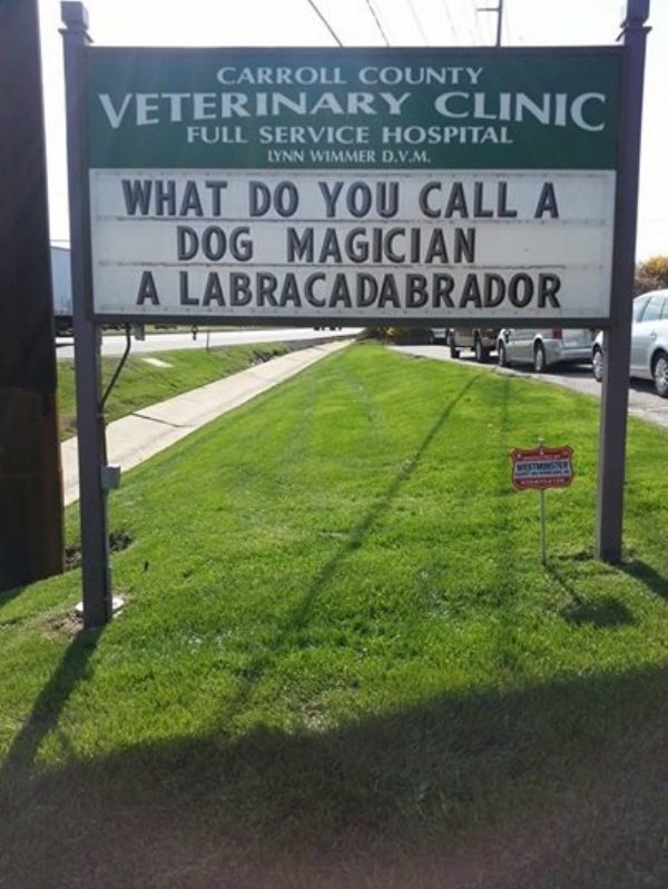 funny vet signs - Carroll County Veterinary Clinic Full Service Hospital Lynn Wimmer D.V.M. What Do You Call A Dog Magician A Labracadabrador