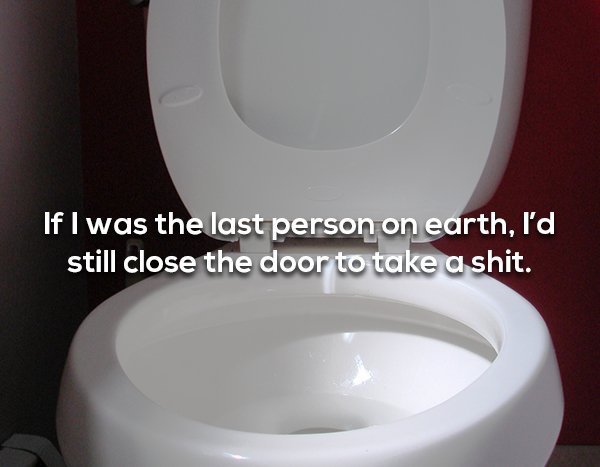 toilet seat - If I was the last person on earth, I'd still close the door to take a shit.