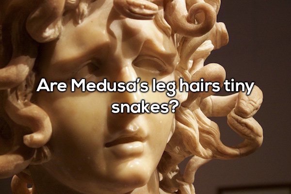 Medusa - Are Medusa's leg hairs tiny snakes?