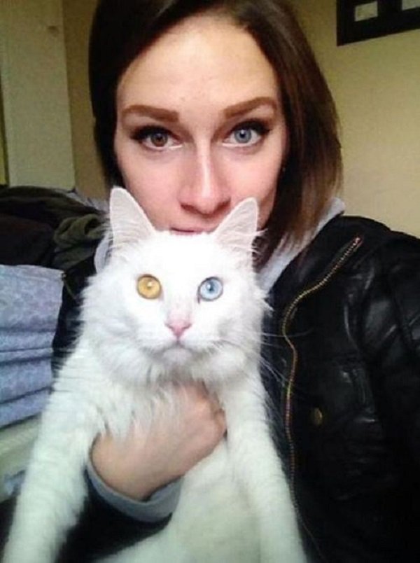 coincidence heterochromia cat and owner
