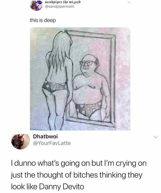 danny devito looking in the mirror meme - sandpiper the wizard this is deep Dhatbwoi Latte I dunno what's going on but I'm crying on just the thought of bitches thinking they look Danny Devito