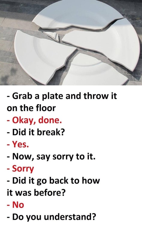 break a plate now say sorry - Grab a plate and throw it on the floor Okay, done. Did it break? Yes. Now, say sorry to it. Sorry Did it go back to how it was before? No Do you understand?