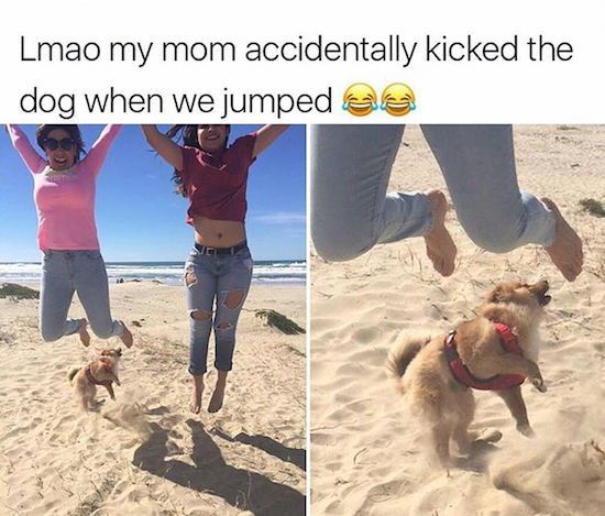 96 of the best 'oh sh*t' moments from 2017